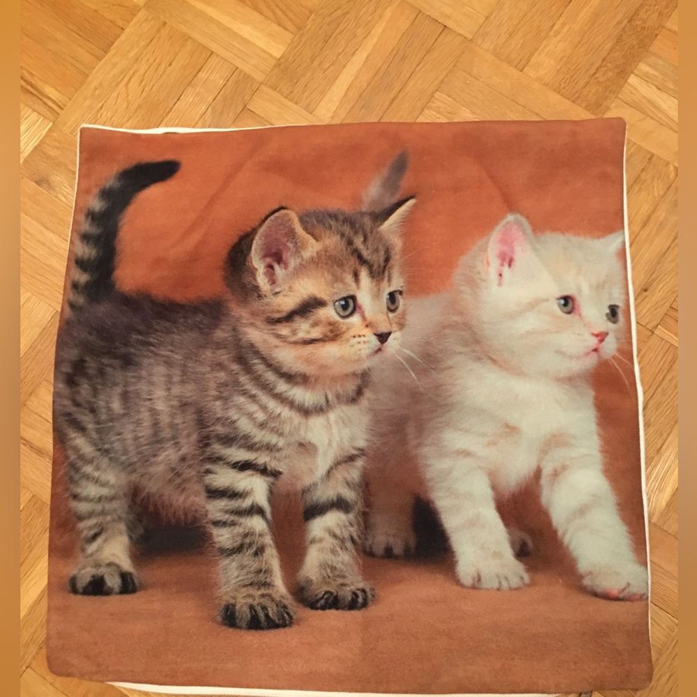 FREE with any purchase from my closet 
Pillow case